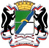 Прямой городской номер Новосибирска изображение 2