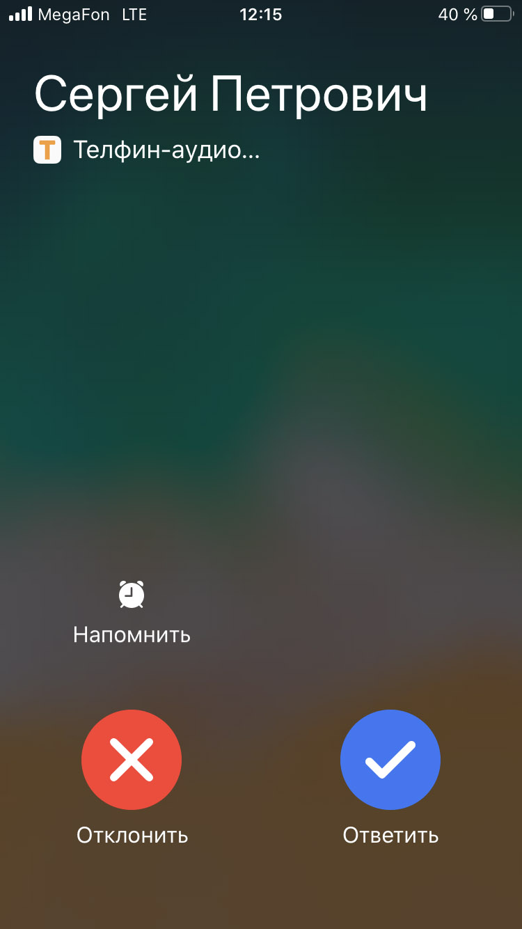 softfone img 1 как установить телфин на телефон